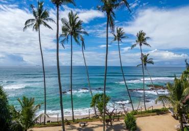 All Round Sri Lankan Excape