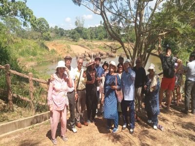 kandy-sri lanka-elephant sactuary - Srilanka 